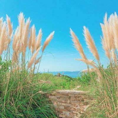 im电竞手机app下载