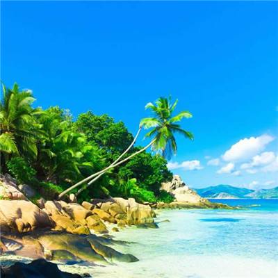 炸金花单机游戏