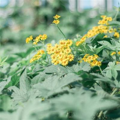 万博manbetx登录手机app下载